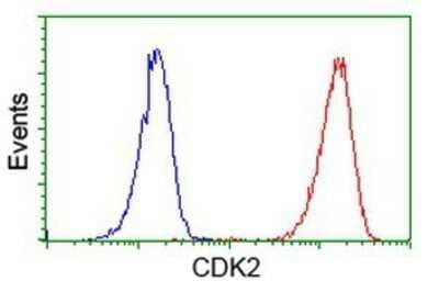 Flow Cytometry: CDK2 Antibody (OTI2D9) - Azide and BSA Free [NBP2-70392] - Analysis of Jurkat cells, using anti-Cdk2 antibody, (Red), compared to a nonspecific negative control antibody (Blue).