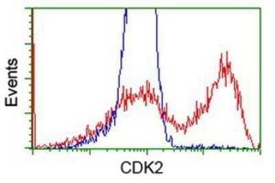 Flow Cytometry: CDK2 Antibody (OTI2D9) - Azide and BSA Free [NBP2-70392] - HEK293T cells transfected with either overexpression plasmid (Red) or empty vector control plasmid (Blue) were immunostaining by anti-Cdk2 antibody, and then analyzed by flow cytometry.