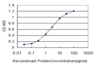 Sandwich ELISA: CDK8 Antibody (2E6) [H00001024-M04] - Detection limit for recombinant GST tagged CDK8 is approximately 0.1ng/ml as a capture antibody.