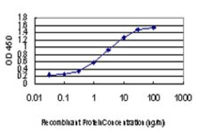 Sandwich ELISA: CDKL1 Antibody (1F12) [H00008814-M03] - Detection limit for recombinant GST tagged CDKL1 is approximately 0.03ng/ml as a capture antibody.