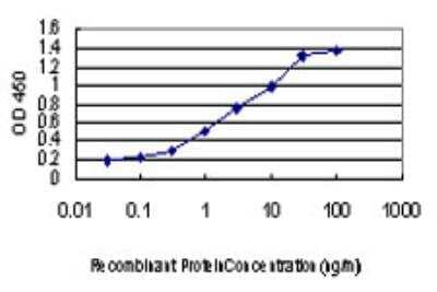 ELISA: CDKL1 Antibody (2H6) [H00008814-M05] - Detection limit for recombinant GST tagged CDKL1 is approximately 0.1ng/ml as a capture antibody.