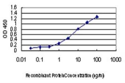 ELISA: CDKL1 Antibody (3G8) [H00008814-M06] - Detection limit for recombinant GST tagged CDKL1 is approximately 0.1ng/ml as a capture antibody.