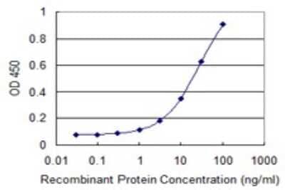 Sandwich ELISA: CDYL Antibody (1A6) [H00009425-M02] - Detection limit for recombinant GST tagged CDYL is 0.3 ng/ml as a capture antibody.