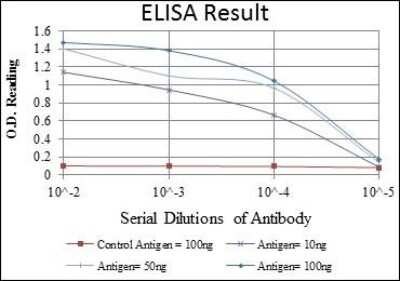 ELISA: CEACAM-5/CD66e Antibody (1C7) [NBP2-22173] - CEACAM5 Antibody (1C7) Red: Control Antigen (100ng); Purple: Antigen (10ng); Green: Antigen (50ng); Blue: Antigen (100ng)