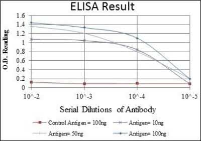 ELISA: CEACAM-5/CD66e Antibody (3G12) [NBP2-22172] - CEACAM5 Antibody (3G12) Red: Control Antigen (100ng); Purple: Antigen (10ng); Green: Antigen (50ng); Blue: Antigen (100ng)