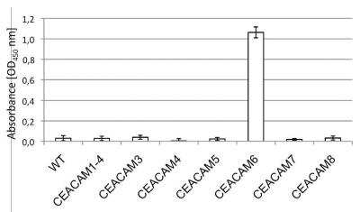 ELISA: CEACAM-6/CD66c Antibody (1H7-4B) [NBP2-54626] - Solid phase was coated with 3 ug/ml Anti-CEA binding human CEACAM1-CEACAM8. After washing, blocking and coating human CEACAM1 antigen, detecting antibody Anti-CEACAM6 [1H7-4B] (10 ug/ml) followed by HRP-coupled goat anti-mouse Ig was added. TMB was used for visualizing the binding measured by Tecan-ELISA reader at 450 nm.