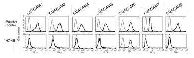 Flow Cytometry: CEACAM-6/CD66c Antibody (1H7-4B) [NBP2-54626] - Binding of 10 ug/ml primary positive control mAb (upper panel), Anti-CEACAM6 [1H7-4B] (lower panel), negative isotype matched control mAb (thin line) on different CHO-human CEACAM transfected cells (the CEACAM family member expressed is stated above).