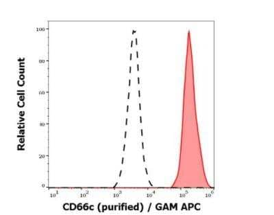 Flow Cytometry: CEACAM6/CD66c Antibody (B6.2) [NBP3-09125] - Separation of neutrophil granulocytes stained anti-human CD66c (B6.2) purified antibody (concentration in sample 3 ug/ml, GAM APC, red-filled) from neutrophil granulocytes unstained by primary antibody (GAM APC, black-dashed) in flow cytometry analysis (surface staining). 