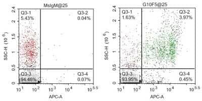 Flow Cytometry: CEACAM8/CD66b Antibody (G10F5) - Azide and BSA Free [NBP2-80664] - Human peripheral blood was stained with Mouse IgM isotype control (left panel), Mouse anti-Human CEACAM-8/CD66b clone G10F5 (right panel), followed by APC-conjugated Goat anti-Mouse IgM secondary antibody. Image from the standard format of this antibody.