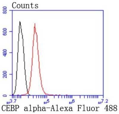 Flow Cytometry: CEBP alpha Antibody (SD202-09) [NBP2-67776] - Analysis of Hela cells with CEBP alpha antibody at 1/50 dilution (red) compared with an unlabelled control (cells without incubation with primary antibody; black). Alexa Fluor 488-conjugated goat anti rabbit IgG was used as the secondary antibody.