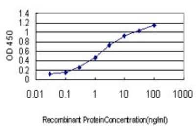 Sandwich ELISA: CENPQ Antibody (2B5-2D12) [H00055166-M01] - Detection limit for recombinant GST tagged C6orf139 is approximately 0.03ng/ml as a capture antibody.