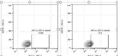 Flow Cytometry: CFTR Antibody (CFTR/1643) [Alexa Fluor® 647] [NBP2-54509AF647] - CFTR signal in human airway epithelial cells. Flow cytometry image submitted by a verified customer review.