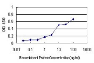 Sandwich ELISA: CGREF1 Antibody (2D7) [H00010669-M01] - Detection limit for recombinant GST tagged CGREF1 is approximately 1ng/ml as a capture antibody.