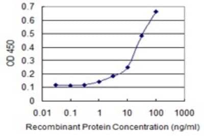 Sandwich ELISA: CHD1 Antibody (1G2) [H00001105-M04] - Detection limit for recombinant GST tagged CHD1 is 0.3 ng/ml as a capture antibody.