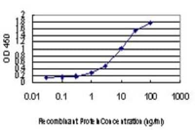 Sandwich ELISA: CHFR Antibody (1H3-A12) [H00055743-M01] - Detection limit for recombinant GST tagged CHFR is approximately 0.1ng/ml as a capture antibody.