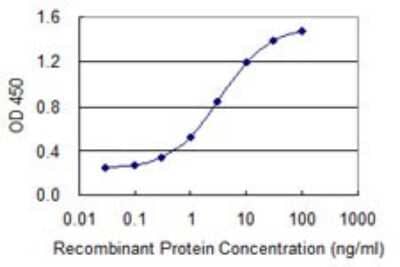 Sandwich ELISA: CHFR Antibody (2B11) [H00055743-M08] - Detection limit for recombinant GST tagged CHFR is 0.03 ng/ml as a capture antibody.