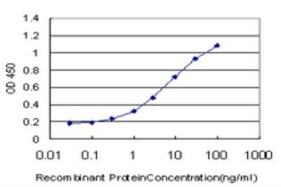 ELISA: CHN 1 Antibody (3A3) [H00001123-M03] - Detection limit for recombinant GST tagged CHN1 is approximately 0.1ng/ml as a capture antibody.