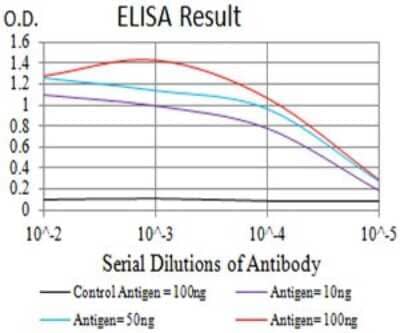 ELISA: CHRND Antibody (1H1F9) [NBP2-61733] - Black line: Control Antigen (100 ng);Purple line: Antigen (10ng); Blue line: Antigen (50 ng); Red line:Antigen (100 ng)