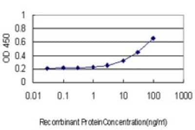 Sandwich ELISA: CIAPIN1 Antibody (5G8) [H00057019-M01] - Detection limit for recombinant GST tagged CIAPIN1 is approximately 1ng/ml as a capture antibody.
