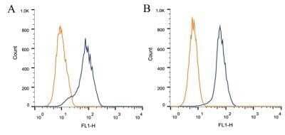 Flow Cytometry: CIP2A Antibody (2G10) - Azide and BSA Free [NBP2-80670] - Intracellular flow cytometric staining of 1 x 10^6 CHO (A) and HEK-293 (B) cells using CIP2A antibody (dark blue). Isotype control shown in orange. An antibody concentration of 1 ug/1x10^6 cells was used. Image from the standard format of this antibody.