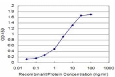 Sandwich ELISA: CITED1 Antibody (6C8) [H00004435-M05] - Detection limit for recombinant GST tagged CITED1 is approximately 0.1ng/ml as a capture antibody.