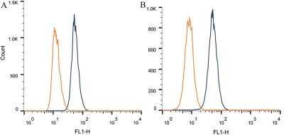 Flow Cytometry: CITED4 Antibody (HT13-2D6.3) - Azide and BSA Free [NBP2-80672] - Intracellular flow cytometric staining of 1 x 10^6 CHO (A) and HEK-293 (B) cells using CITED4 antibody (dark blue). Isotype control shown in orange. An antibody concentration of 1 ug/1x10^6 cells was used. Image from the standard format of this antibody.
