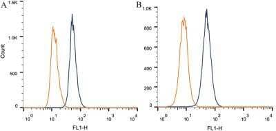Flow Cytometry: CITED4 Antibody (HT13-2D6.3) [NB110-41572] - Intracellular flow cytometric staining of 1 x 10^6 CHO (A) and HEK-293 (B) cells using CITED4 antibody (dark blue). Isotype control shown in orange. An antibody concentration of 1 ug/1x10^6 cells was used.