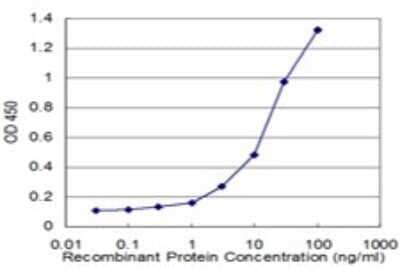 Sandwich ELISA: CKII alpha prime polypeptide Antibody (1E8) [H00001459-M03] - Detection limit for recombinant GST tagged CSNK2A2 is approximately 0.3ng/ml as a capture antibody.