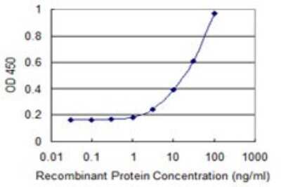Sandwich ELISA: CL-P1/COLEC12 Antibody (8D5) [H00010978-M01] - Detection limit for recombinant GST tagged CLP1 is 1 ng/ml as a capture antibody.
