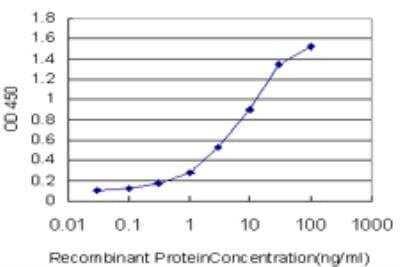 ELISA: CLCA1 Antibody (2C10) [H00001179-M03] - Detection limit for recombinant GST tagged CLCA1 is approximately 0.1ng/ml as a capture antibody.