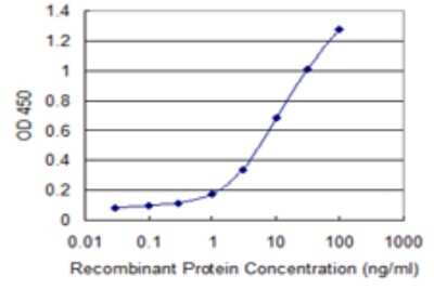 Sandwich ELISA: CLEC10A/CD301 Antibody (1E11) [H00010462-M02] - Detection limit for recombinant GST tagged CLEC10A is 0.3 ng/ml as a capture antibody.
