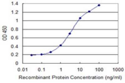 Sandwich ELISA: CLEC10A/CD301 Antibody (2G12) [H00010462-M05] - Detection limit for recombinant GST tagged CLEC10A is 0.03 ng/ml as a capture antibody.