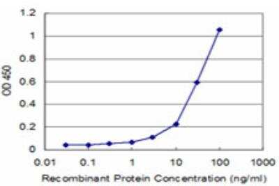 ELISA: CLIC3 Antibody (2C5) [H00009022-M04] - Detection limit for recombinant GST tagged CLIC3 is approximately 3ng/ml as a capture antibody.