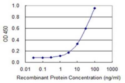 Sandwich ELISA: CLIP3 Antibody (4C11) [H00025999-M09] - Detection limit for recombinant GST tagged CLIP3 is 0.3 ng/ml as a capture antibody.