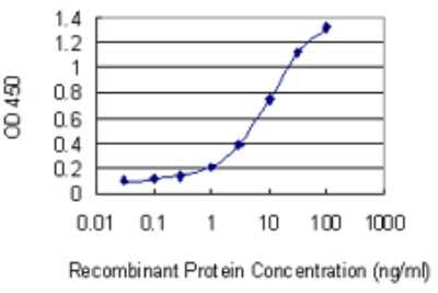Sandwich ELISA: CML2 Antibody (3B6) [H00051471-M03] - Detection limit for recombinant GST tagged NAT8B is 0.3 ng/ml as a capture antibody.