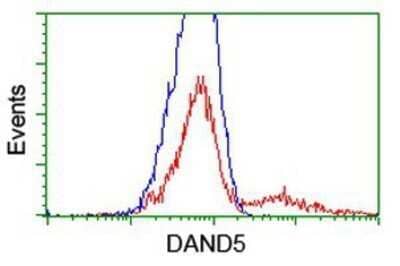 Flow Cytometry: COCO/DAND5 Antibody (OTI2H3) - Azide and BSA Free [NBP2-72456] - HEK293T cells transfected with either overexpression plasmid (Red) or empty vector control plasmid (Blue) were immunostaining by anti-DAND5 antibody, and then analyzed by flow cytometry.