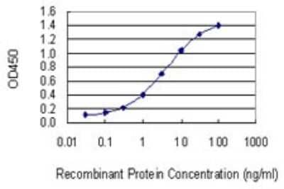 Sandwich ELISA: COG7 Antibody (3G4-1B3) [H00091949-M01] - Detection limit for recombinant GST tagged COG7 is 0.03 ng/ml as a capture antibody.