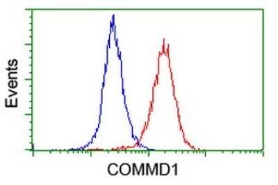 Flow Cytometry: COMMD1 Antibody (2E2) [NBP2-46331] - Analysis of Hela cells, using COMMD1 antibody (Red), compared to a nonspecific negative control antibody  (Blue).