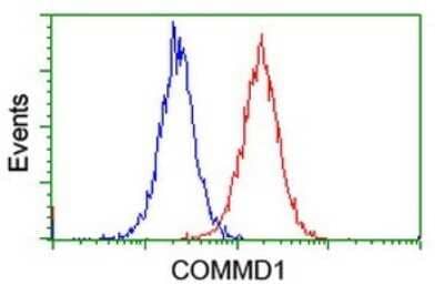 Flow Cytometry: COMMD1 Antibody (2E2) [NBP2-46331] - Analysis of Jurkat cells, using COMMD1 antibody (Red), compared to a nonspecific negative control antibody  (Blue).