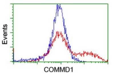 Flow Cytometry: COMMD1 Antibody (2E2) [NBP2-46331] - Analysis of HEK293T cells transfected with either overexpress plasmid(Red) or empty vector control plasmid(Blue) were immunostained by COMMD1 antibody, and then analyzed by flow cytometry.