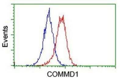 Flow Cytometry: COMMD1 Antibody (OTI1F2) - Azide and BSA Free [NBP2-72419] - Analysis of Jurkat cells, using anti-COMMD1 antibody, (Red), compared to a nonspecific negative control antibody (Blue).
