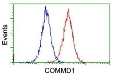 Flow Cytometry: COMMD1 Antibody (OTI2E2) - Azide and BSA Free [NBP2-72418] - Analysis of Jurkat cells, using COMMD1 antibody (Red), compared to a nonspecific negative control antibody (Blue).