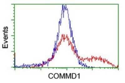 Flow Cytometry: COMMD1 Antibody (OTI2E2) - Azide and BSA Free [NBP2-72418] - Analysis of HEK293T cells transfected with either overexpress plasmid(Red) or empty vector control plasmid(Blue) were immunostaining by COMMD1 antibody, and then analyzed by flow cytometry.