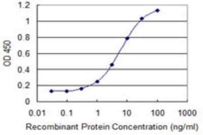 Sandwich ELISA: COMMD3 Antibody (2E2) [H00023412-M01] - Detection limit for recombinant GST tagged COMMD3 is 0.1 ng/ml as a capture antibody.