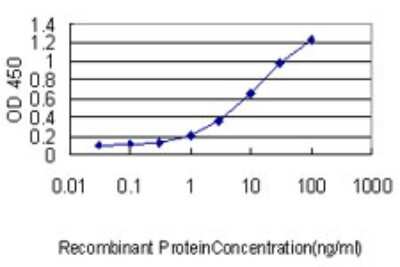 Sandwich ELISA: COMMD7 Antibody (1B9) [H00149951-M01] - Detection limit for recombinant GST tagged COMMD7 is approximately 0.1ng/ml as a capture antibody.
