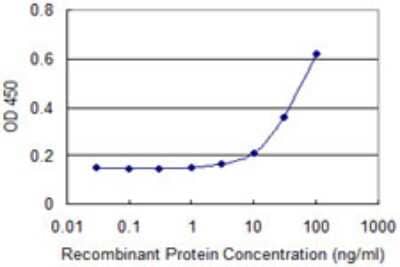 Sandwich ELISA: COUP-TF II/NR2F2 Antibody (3B5) [H00007026-M10] - Detection limit for recombinant GST tagged NR2F2 is approximately 10ng/ml as a capture antibody.