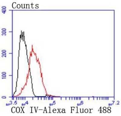 Flow Cytometry: COX4 Antibody (JJ09-05) [NBP2-67889] - Analysis of MCF-7 cells with COX IV antibody at 1/50 dilution (red) compared with an unlabelled control (cells without incubation with primary antibody; black). Alexa Fluor 488-conjugated goat anti rabbit IgG was used as the secondary antibody.