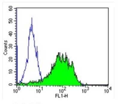Flow Cytometry: CRABP1 Antibody (C-1) [NB300-539] - Analysis of CRABPI in NIH-3T3 cells (green) compared to an isotype control (blue).