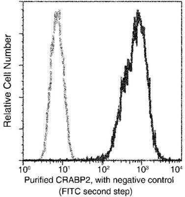 Flow Cytometry: CRABP2 Antibody (004) [NBP2-89836] - Analysis of Human CRABP2 expression on MCF-7 cells. The cells were treated , stained with purified anti-Human CRABP2, then a FITC-conjugated second step antibody. The fluorescence histograms were derived from gated events with the forward and side light-scatter characteristics of intact cells.