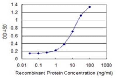 Sandwich ELISA: CREB3L2 Antibody (1B8) [H00064764-M03] - Detection limit for recombinant GST tagged CREB3L2 is 0.1 ng/ml as a capture antibody.